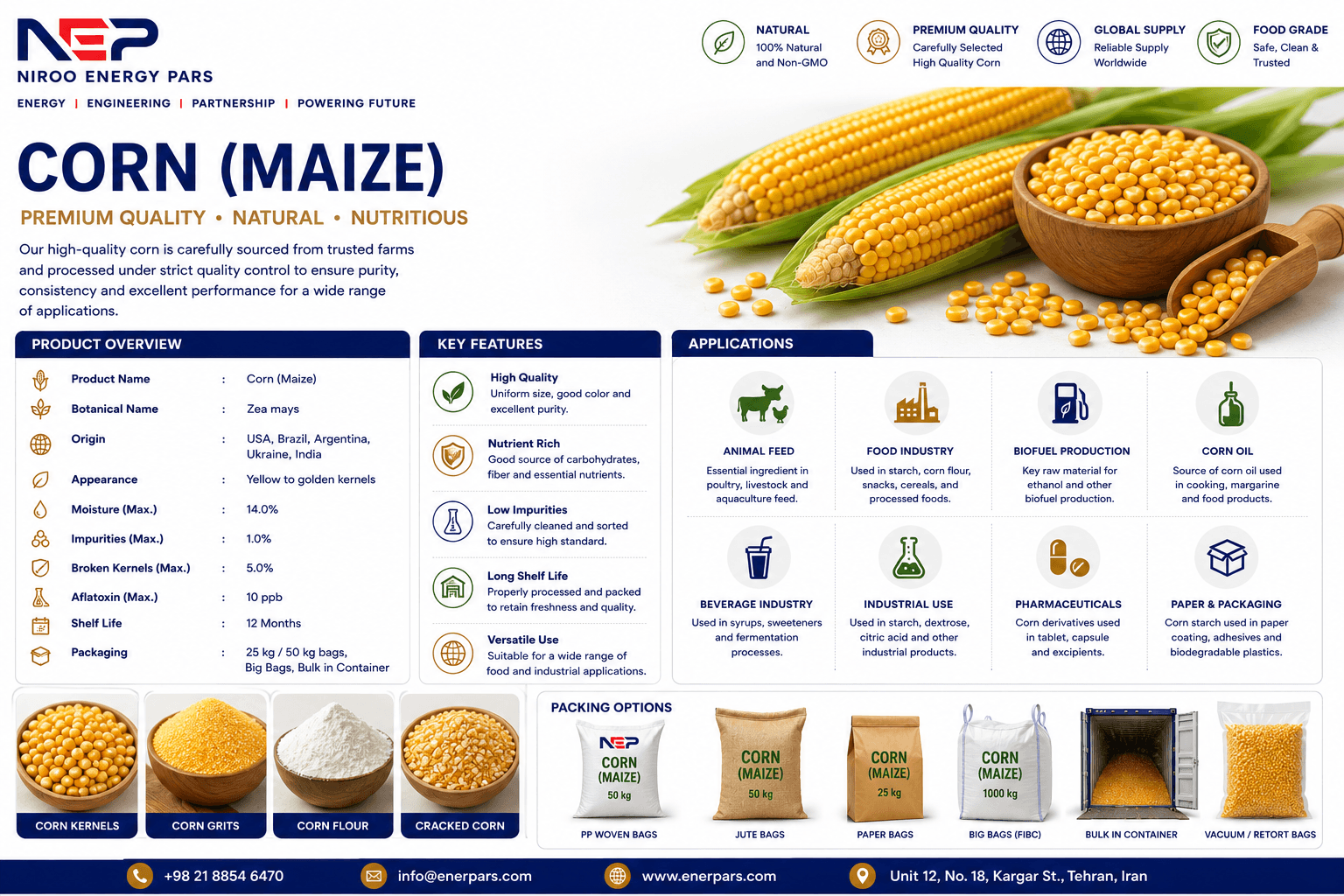 Corn (Maize)